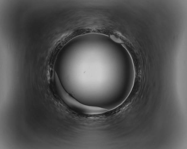 X0000087681398200705041020
