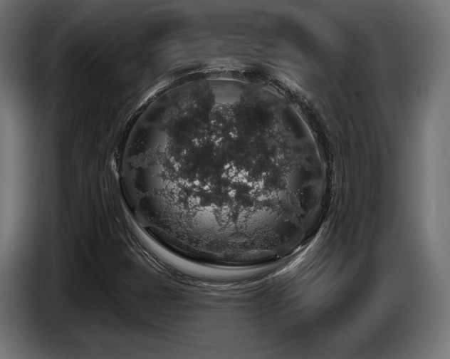 X0000087681401200705041020