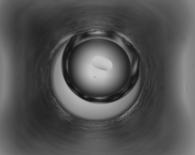 X0000087681402200705041020