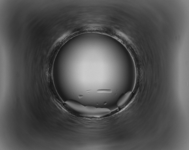 X0000087681403200705041020