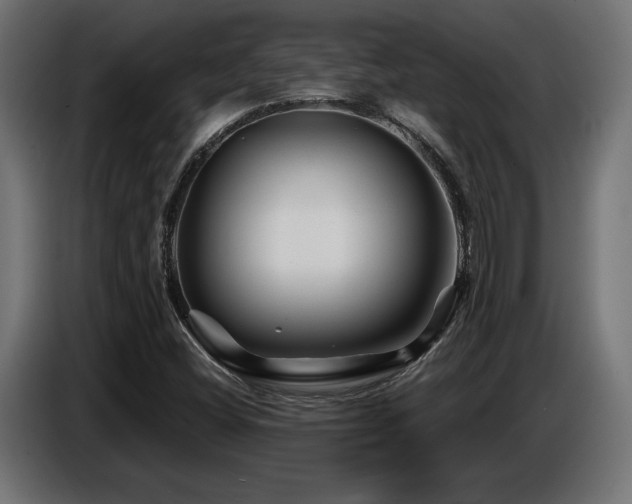X0000087681404200705041020