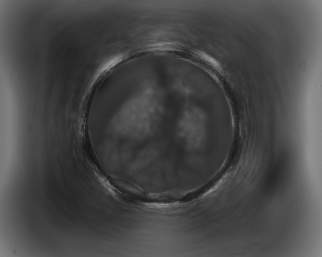 X0000087681405200705041020