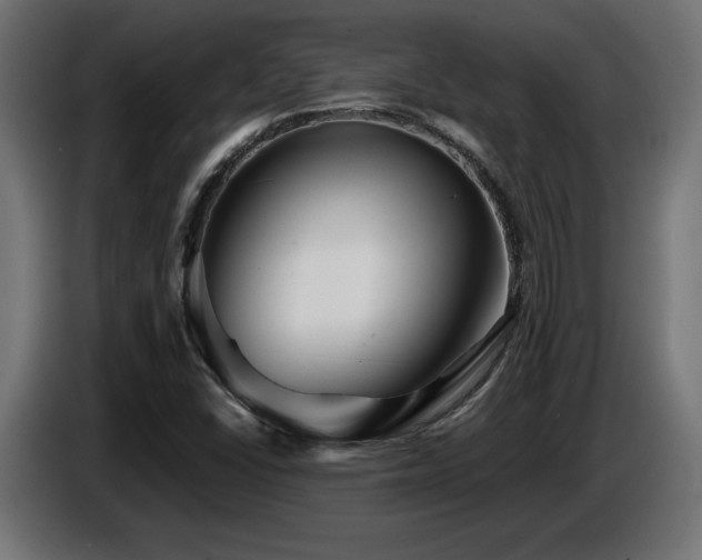 X0000087681406200705041020