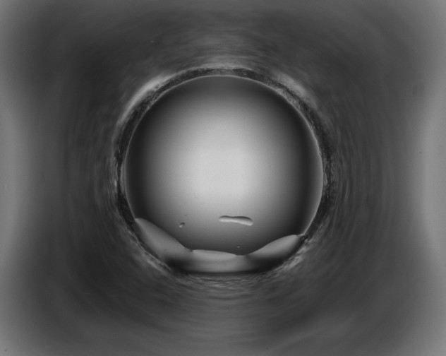 X0000087681408200705041020
