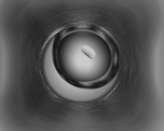 X0000087681410200705041020