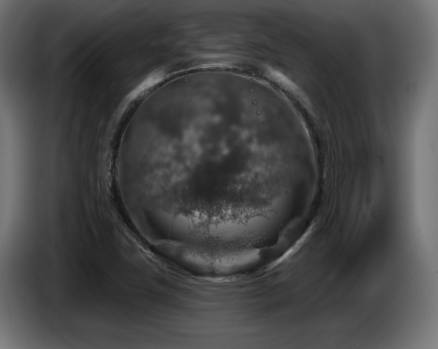 X0000087681411200705041020