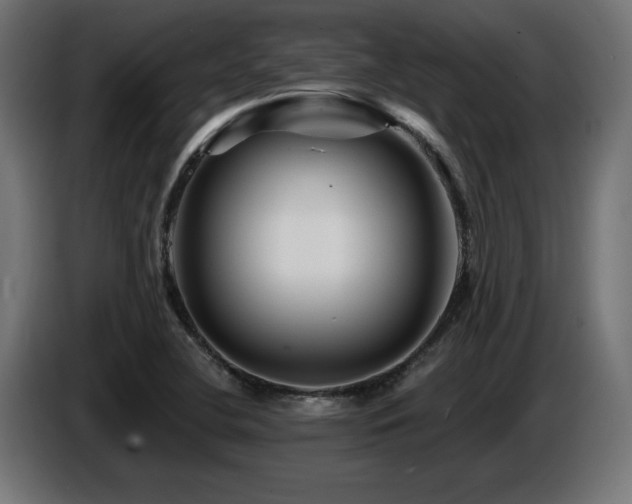 X0000087681412200705041020