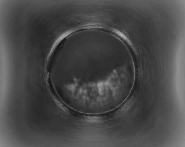 X0000087681413200705041020