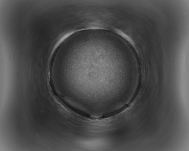 X0000087681415200705041020