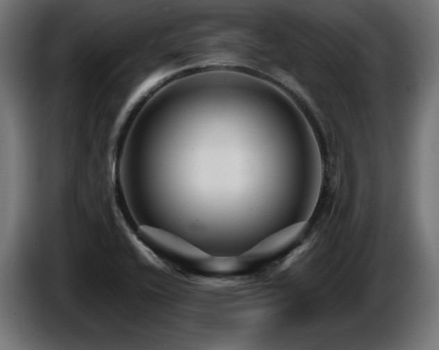 X0000087681416200705041020