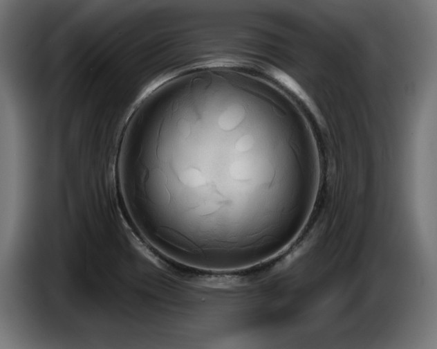X0000087681417200705041020