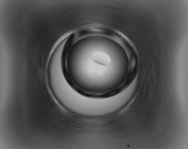 X0000087681418200705041020