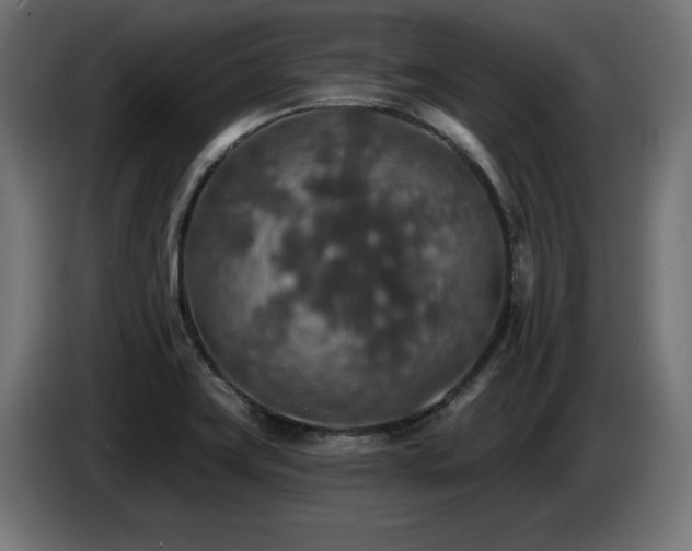 X0000087681419200705041020