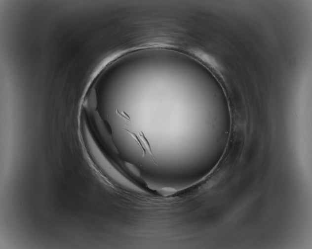 X0000087681423200705041020