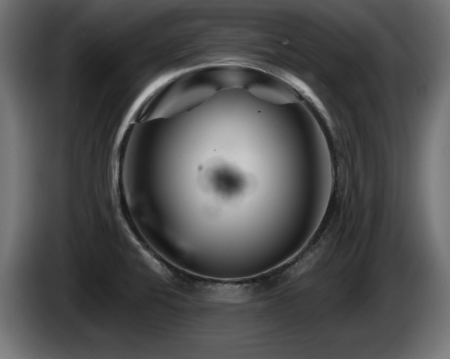 X0000087681424200705041020