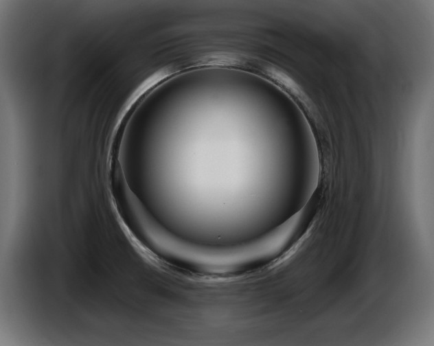 X0000087681426200705041020