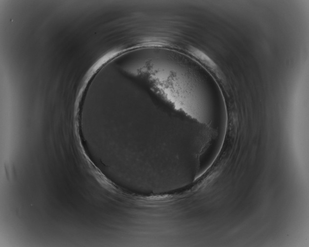 X0000087681427200705041020