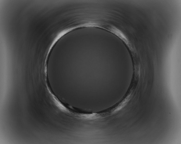 X0000087681428200705041020