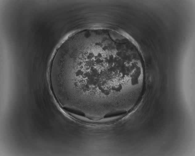 X0000087681429200705041020