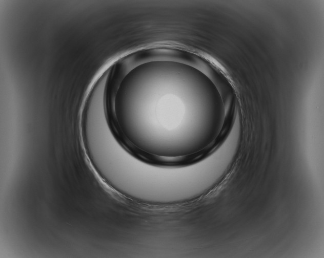 X0000087681430200705041020