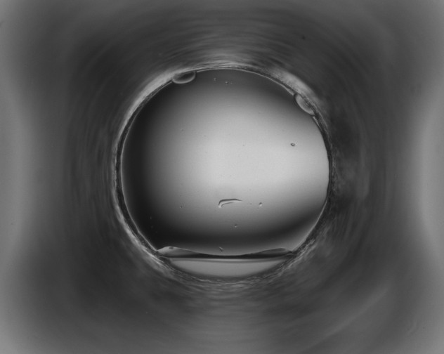 X0000087681431200705041020
