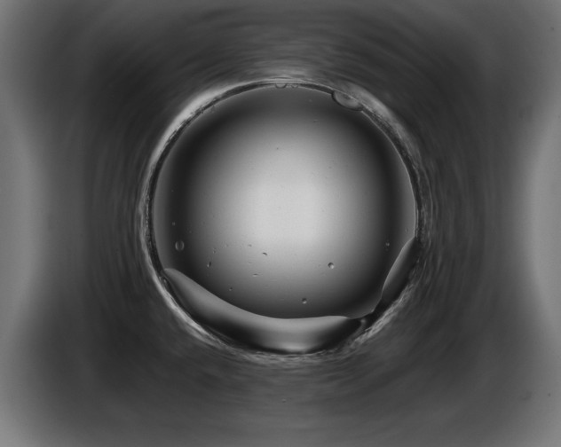 X0000087681432200705041020