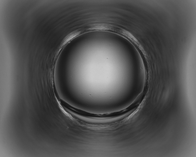 X0000087681433200705041020
