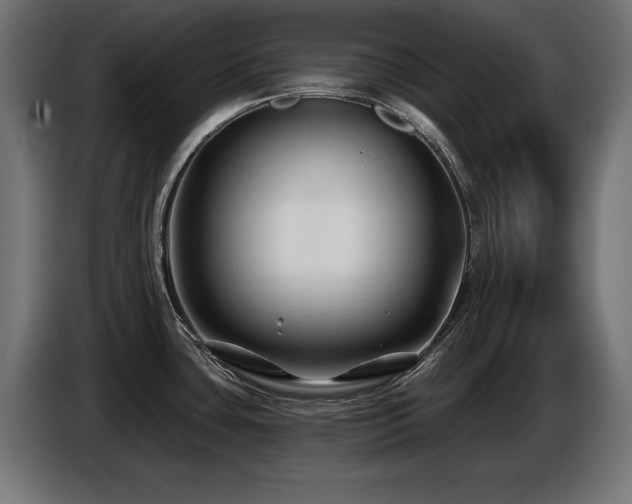 X0000087681435200705041020