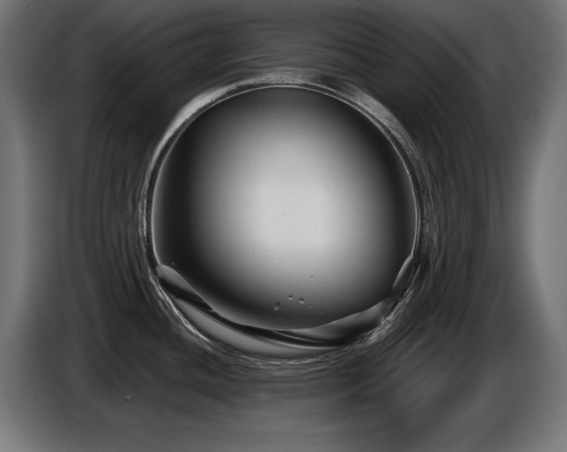 X0000087681436200705041020