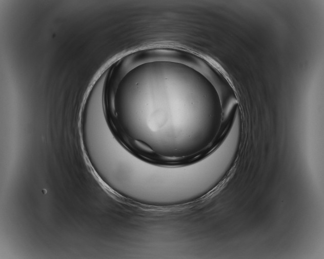 X0000087681438200705041020