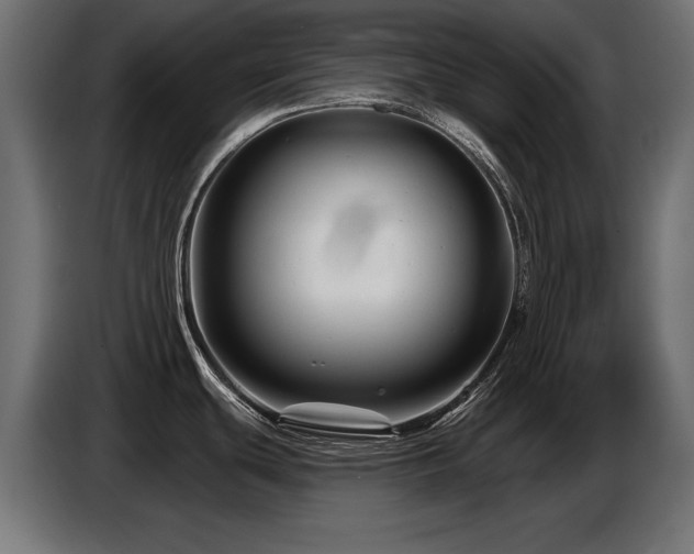 X0000087681439200705041020