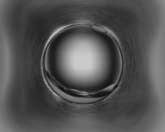 X0000087681440200705041020