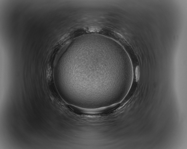 X0000087681443200705041020