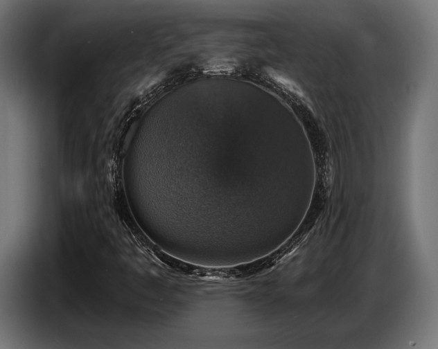 X0000087681445200705041020
