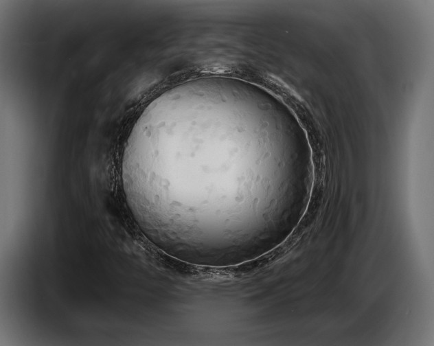 X0000087681446200705041020