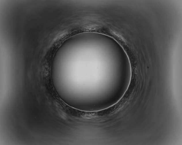 X0000087681447200705041020