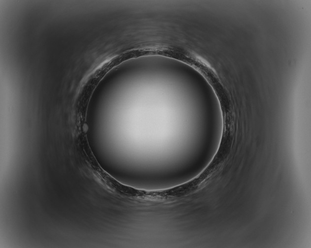 X0000087681448200705041020