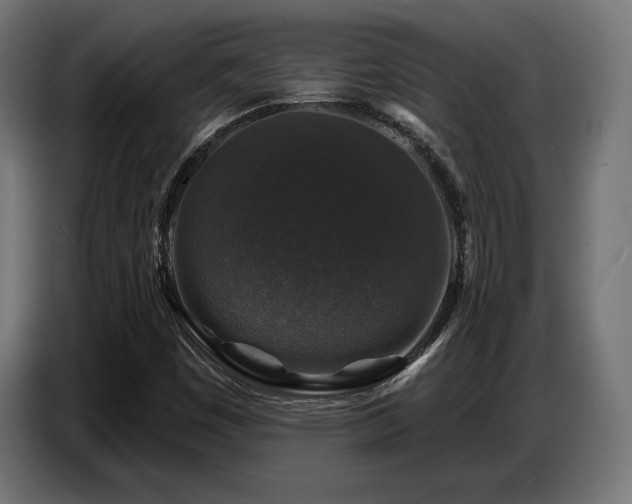 X0000087681449200705041020