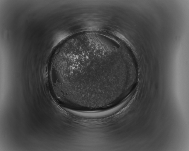 X0000087681450200705041020