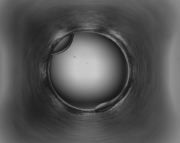 X0000087681451200705041020