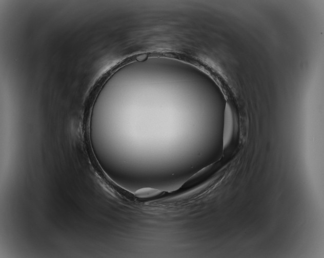 X0000087681452200705041020