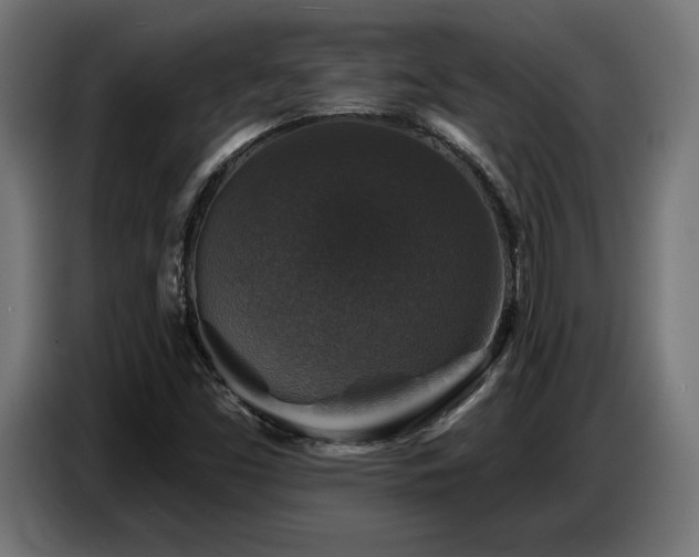 X0000087681453200705041020