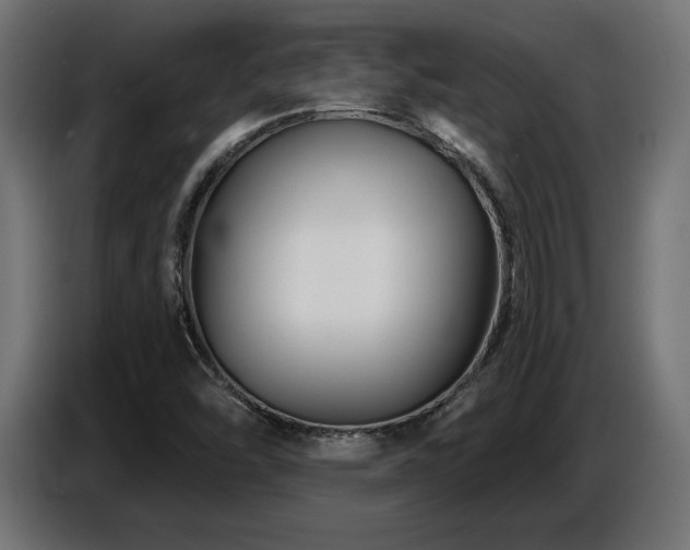 X0000087681454200705041020