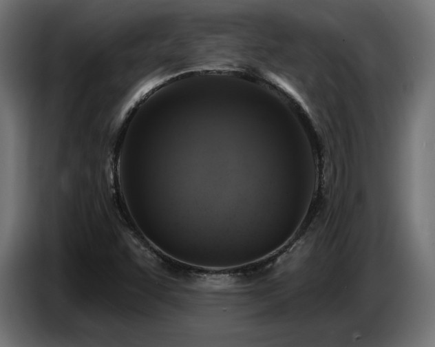 X0000087681455200705041019