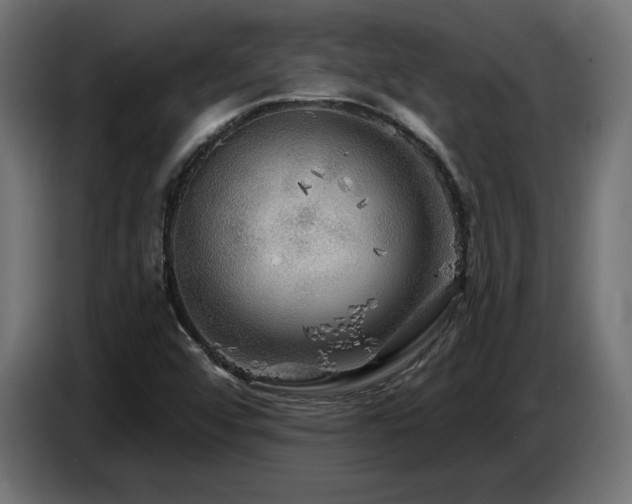 X0000087681456200705041019