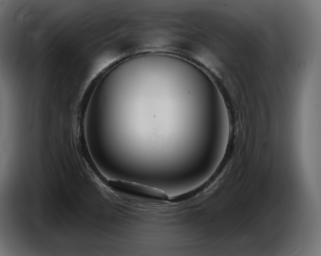 X0000087681458200705041019
