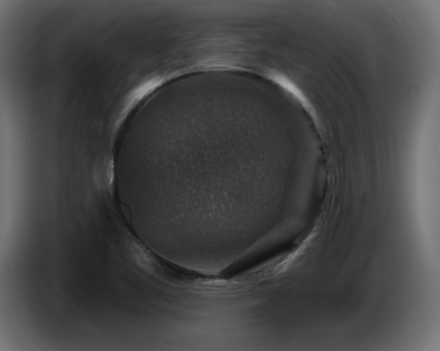 X0000087681461200705041019