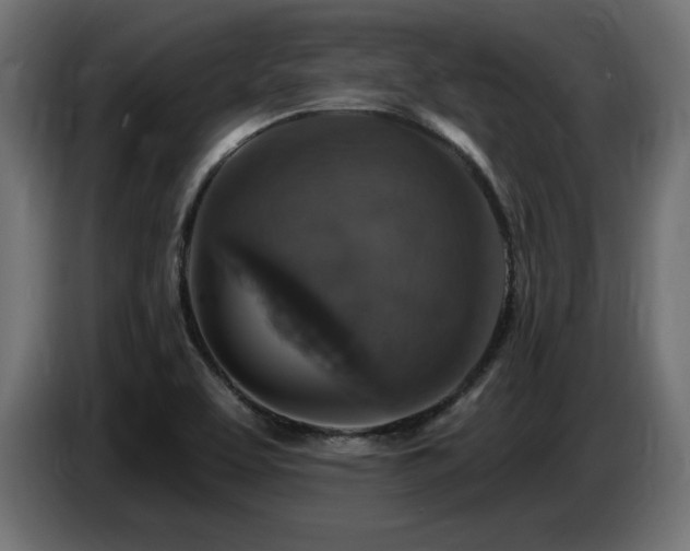 X0000087681463200705041019