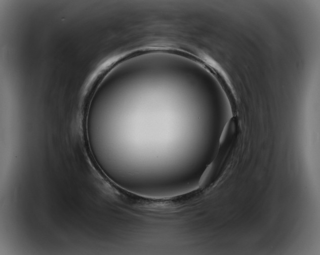 X0000087681464200705041019