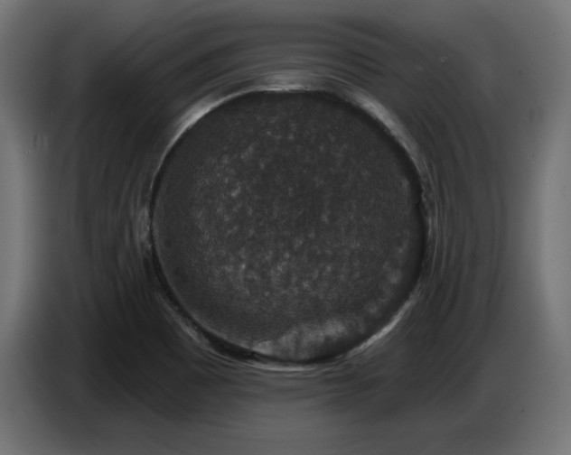 X0000087681465200705041019